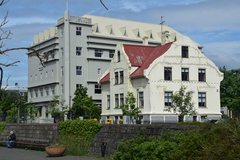 ijsland0526