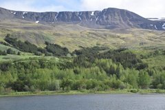 ijsland2004