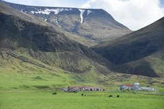 ijsland2007