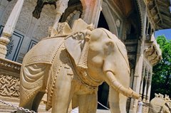 india1102