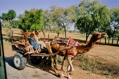 india1113