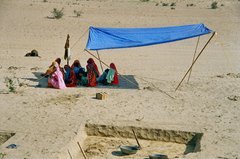 india1114