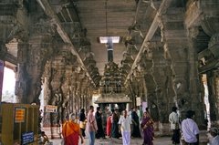 india1317