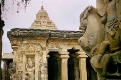 india1321