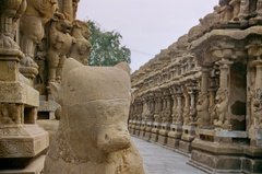 india1322