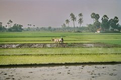 india1327