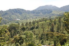 indonesie1111