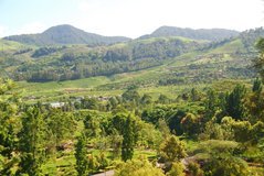 indonesie1114