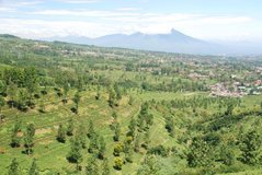 indonesie1135