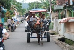 indonesie1254