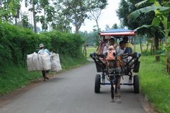 indonesie1255