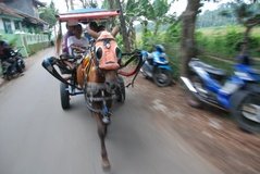 indonesie1256