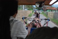 indonesie1257