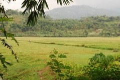 indonesie1271