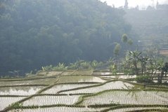 indonesie1312