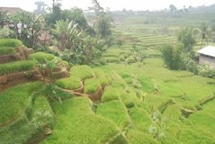 indonesie1326