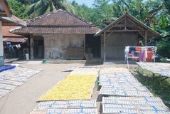 indonesie1438