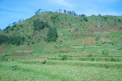 indonesie1612