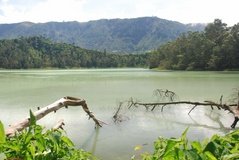indonesie2001