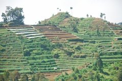 indonesie2007