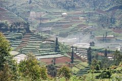 indonesie2008