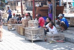 indonesie2009