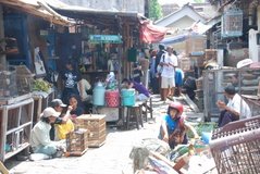 indonesie2010