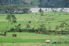 indonesie2513