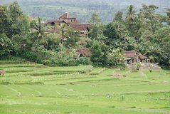 indonesie2515