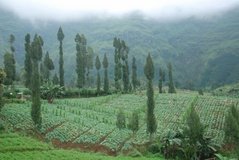 indonesie2806