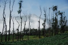 indonesie2807
