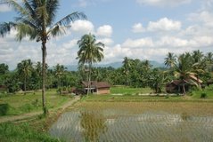 indonesie2809