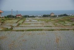 indonesie3510