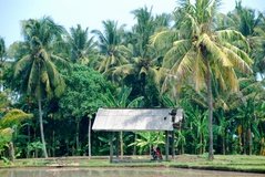 indonesie3519