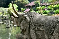 indonesie3559