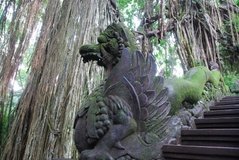 indonesie3767