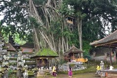 indonesie3955