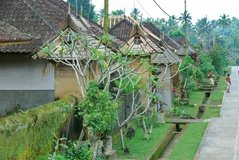 indonesie4109