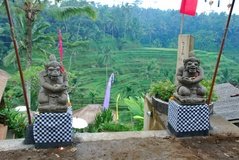 indonesie4113