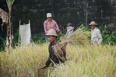 indonesie4121