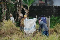 indonesie4123