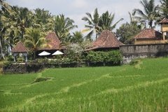 indonesie4137
