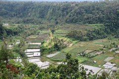 indonesie4140