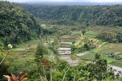 indonesie4141