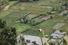 indonesie4142