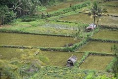 indonesie4143