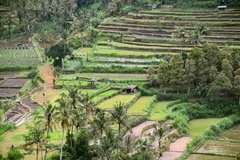 indonesie4144