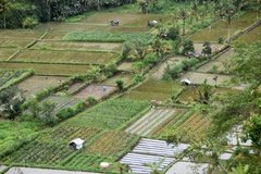 indonesie4145