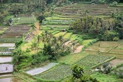 indonesie4146