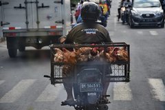 indonesie4193